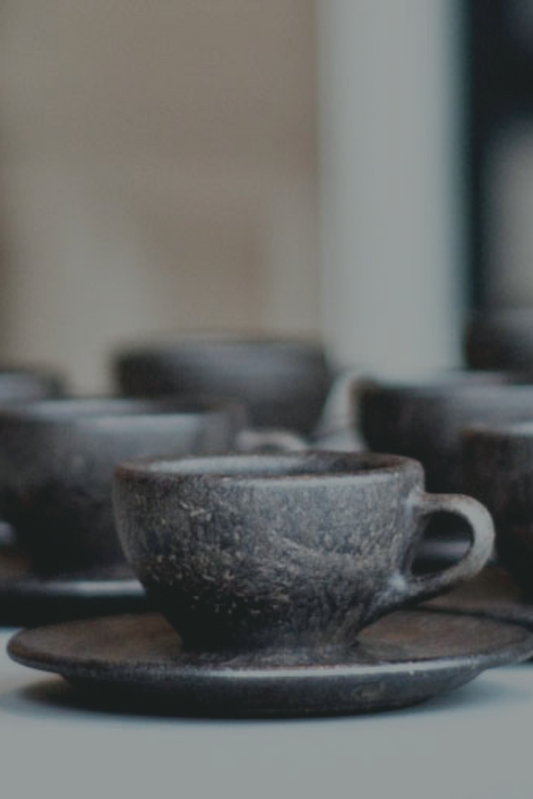 Kahve Posalarının Değerlendirilmesi