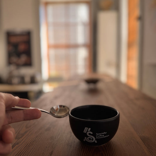 Türkçe Q Grader eğitimi cupping setup, CoffeeNutzHQ İzmir tadım masası