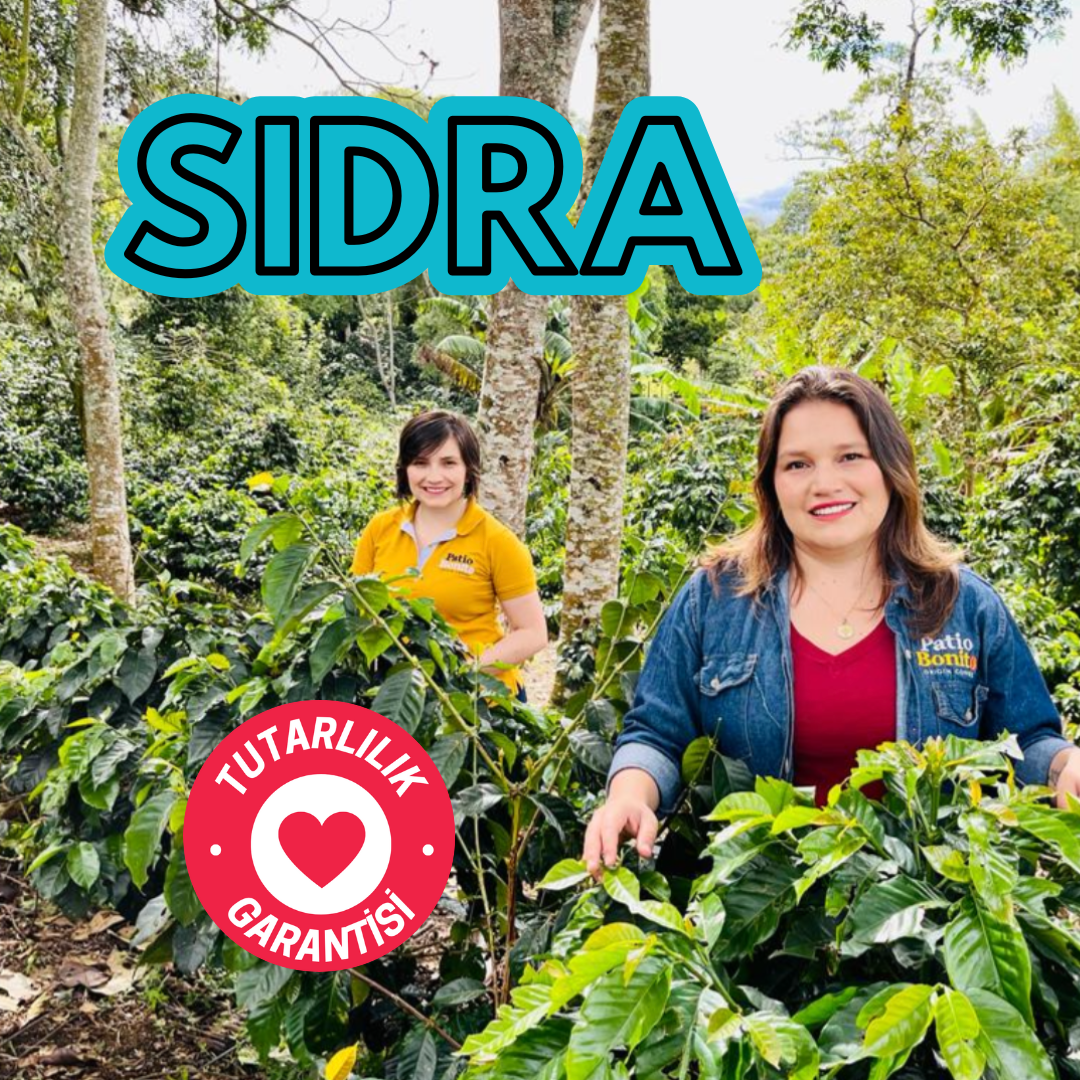 CoffeeNutz Taze Kavrulmuş Kolombiya Sidra Kahvesi