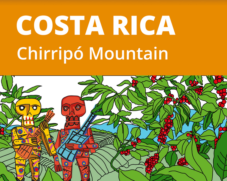 CoffeeNutz® Kosta Rika Chirripó