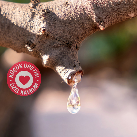 CoffeeNutz® Taze Kavrulmuş Finca Milan Washed NG Kahvesi