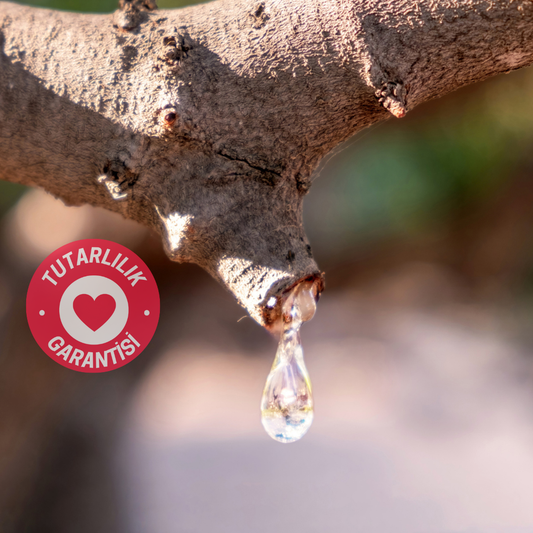 CoffeeNutz® Taze Kavrulmuş Finca Milan Washed NG Kahvesi