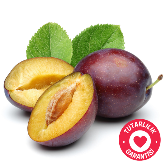 CoffeeNutz® Taze Kavrulmuş Kosta Rika  Chirripó Yıkanmış Kahvesi