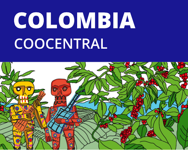 Kolombiya Coocentral - CoffeeNutz®