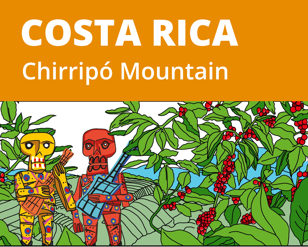 Kosta Rika Chirripó Mountain - CoffeeNutz®