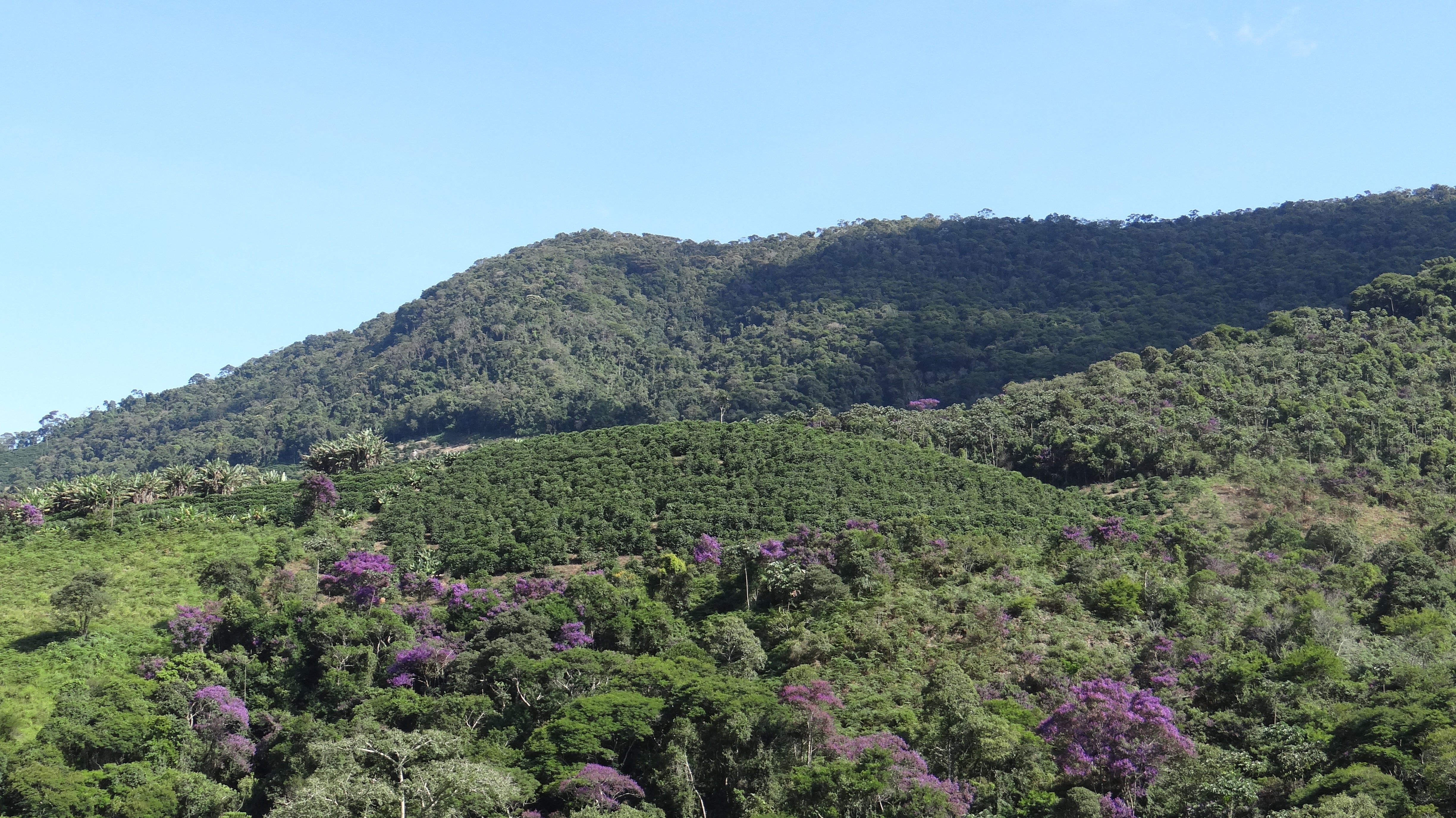 CoffeeNutz® Brezilya Mantiquiera Mountains