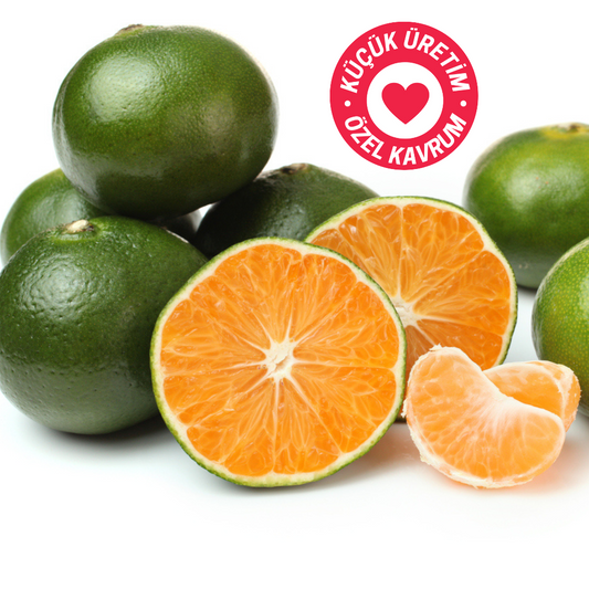 coffeenutz taze kavrulmuş kolombiya alto cielo geisha 250G natural kahvesi