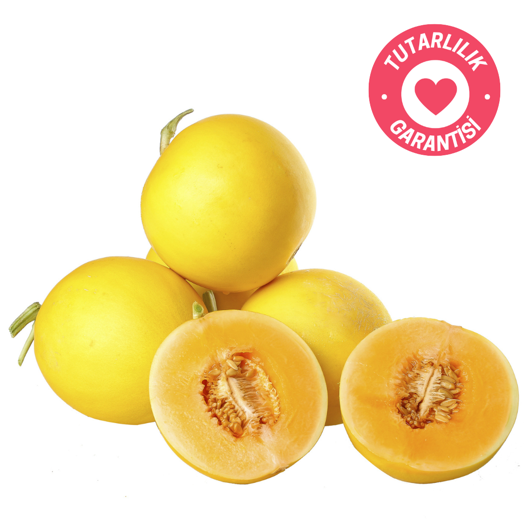 taze kavrulmuş coffeenutz etiyopya asefa dukamo honey kahvesi