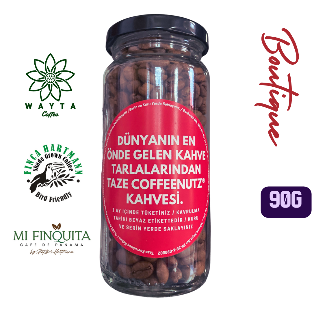 taze kavrulmuş panama geisha lot15-2 coffeenutz kahvesi