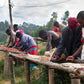 Burundi Kayanza Businde Station Honey - CoffeeNutz®