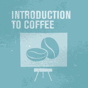 Introduction to Coffee (Online) - CoffeeNutz®