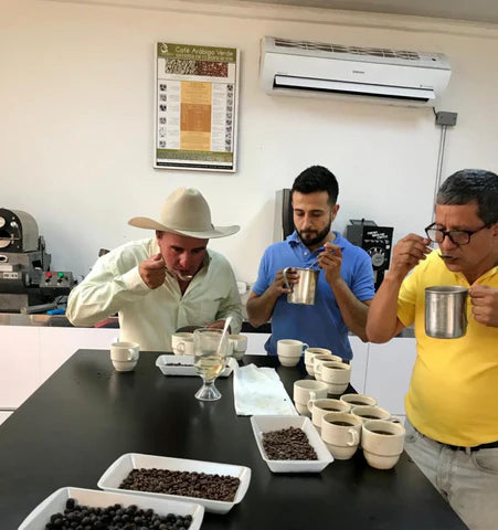 Kolombiya Quindio Geisha Honey - CoffeeNutz®